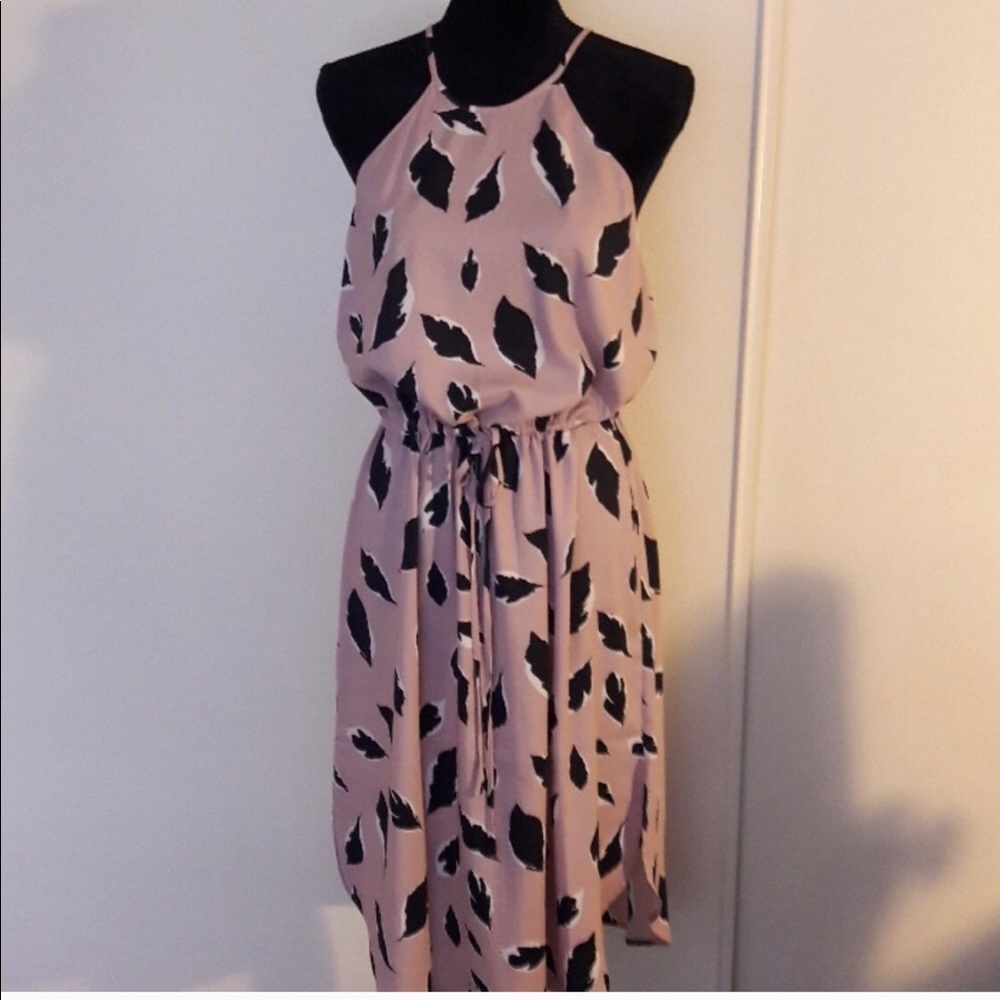 Loft dress NWOTS